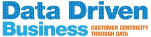Logo Data Driven Business